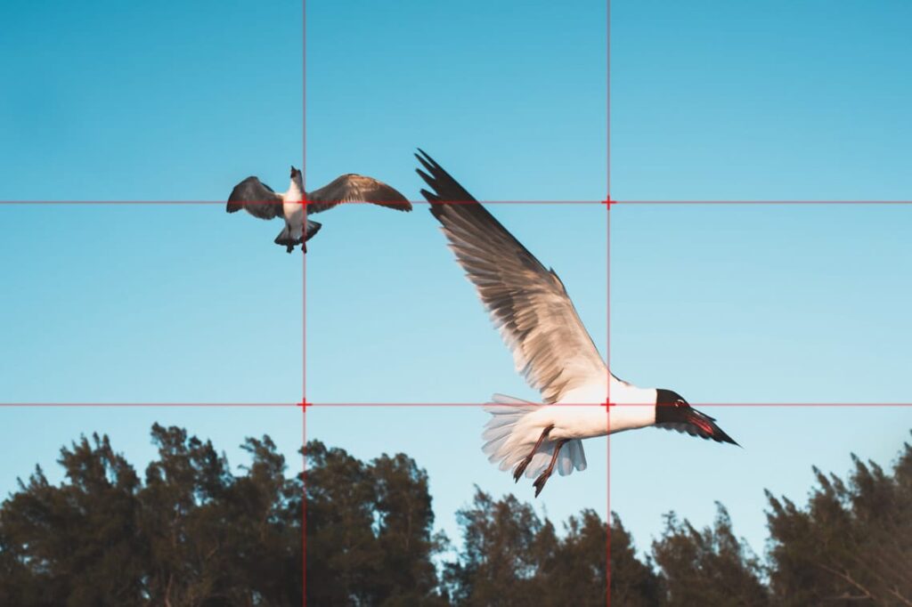 drittelregel-in-der-fotografie-möwen-usa-handy-smartphone